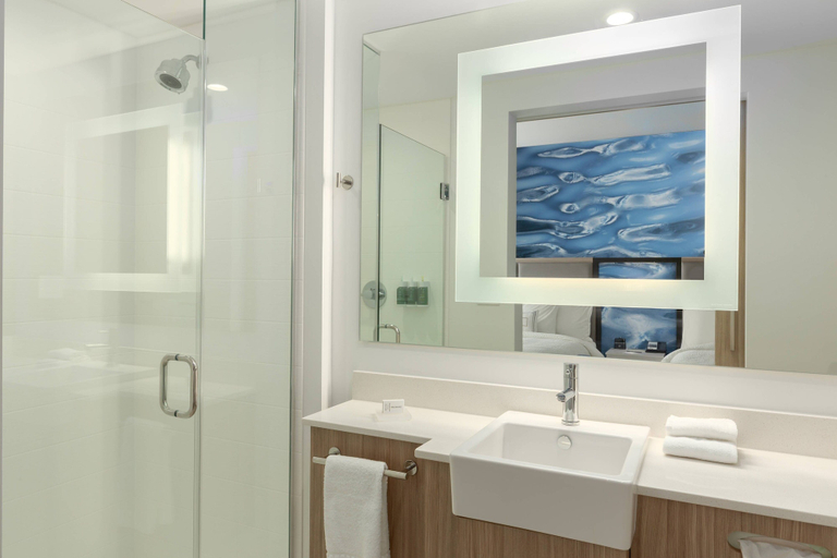 Bathroom 5, SpringHill Suites by Marriott Bradenton Downtown/Riverfront, Manatee
