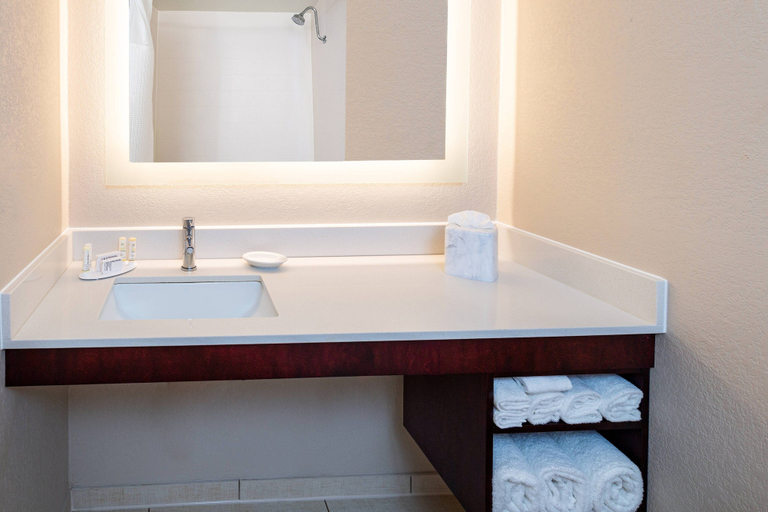 Bathroom 5, SpringHill Suites Houston Medical Center/NRG Park, Houston