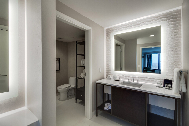 Bathroom 5, The Westin New Orleans, Orleans