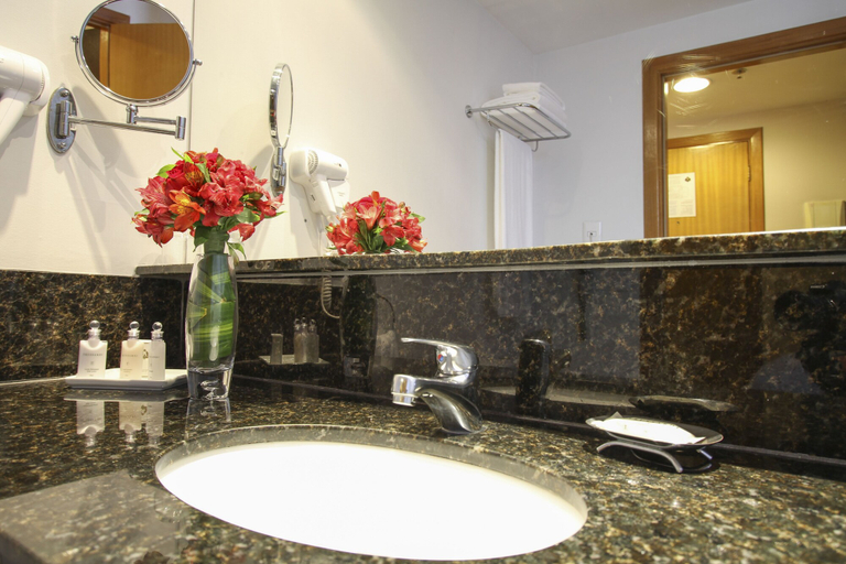 Bathroom 5, Royal Collection Paulista, São Paulo