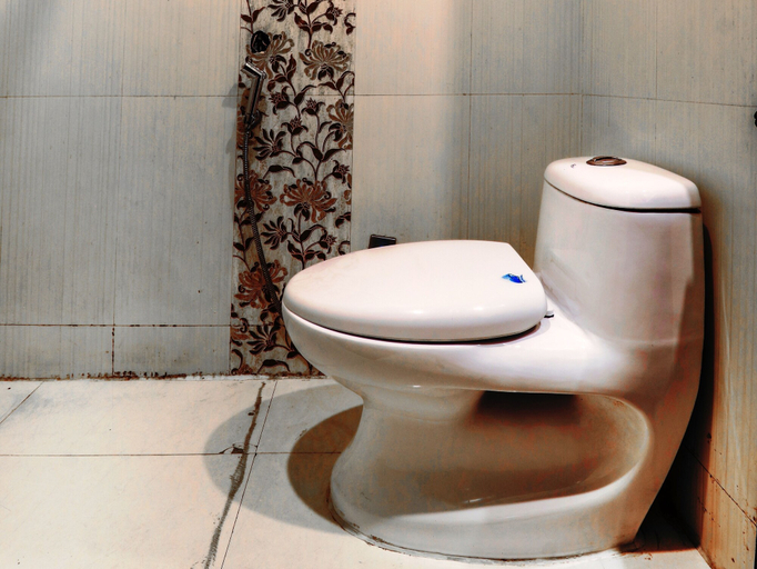 Bathroom 4, Hotel Grand Shiva, Hardwar