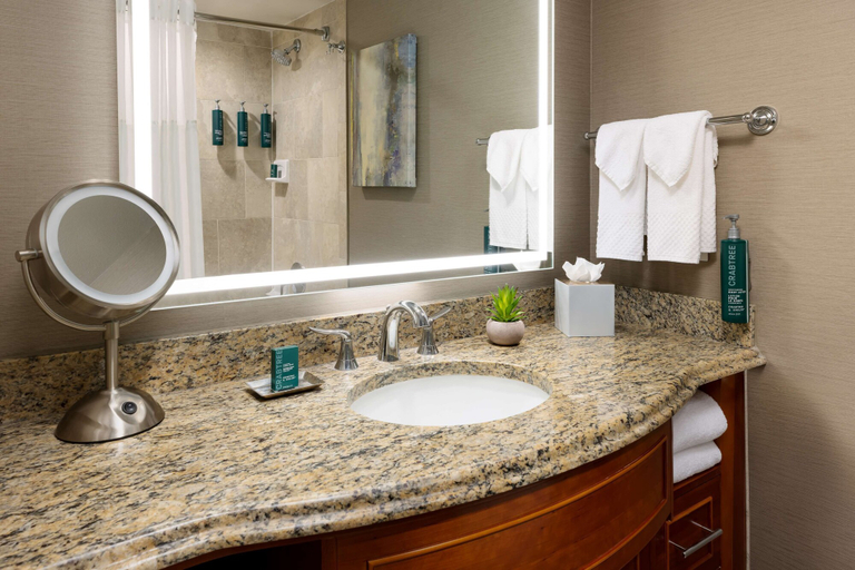 Bathroom 4, Hilton Tucson East, Pima