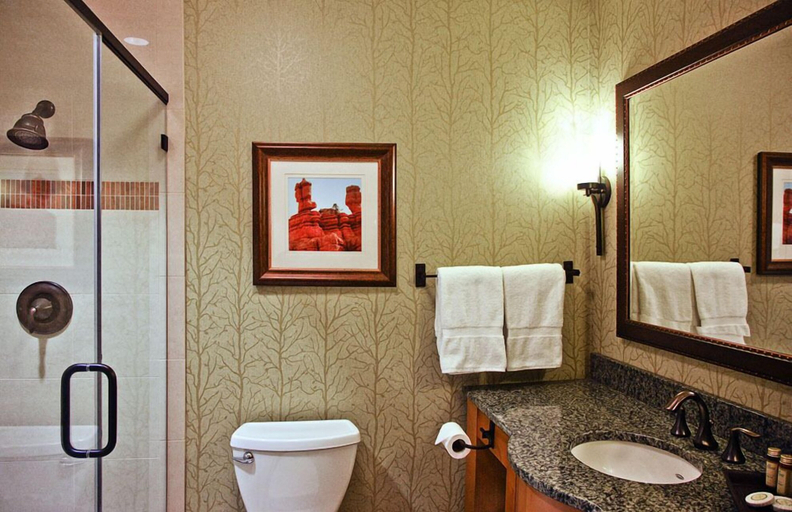 Bathroom 4, Brian Head Lodge, Iron