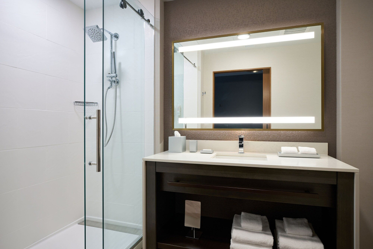 Bathroom 3, Washington Marriott Capitol Hill, Washington D.C.