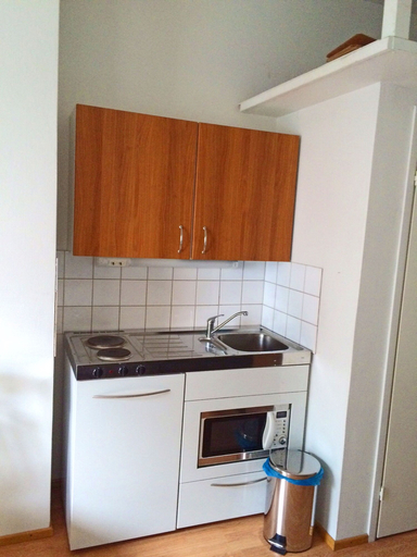 Others 4, City Apartment Kuopio, North Savonia
