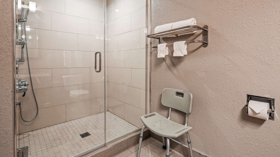 Bathroom 3, Best Western Plus North Joliet, Will