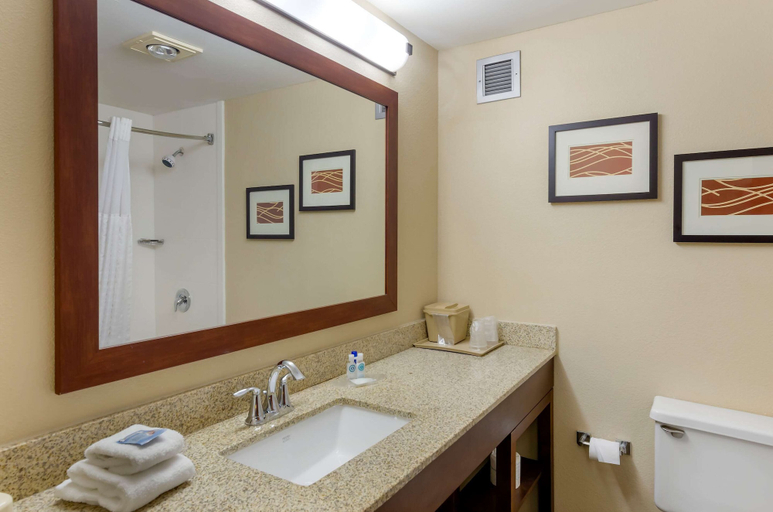 Bathroom 4, Comfort Inn Blacksburg University Area, Montgomery