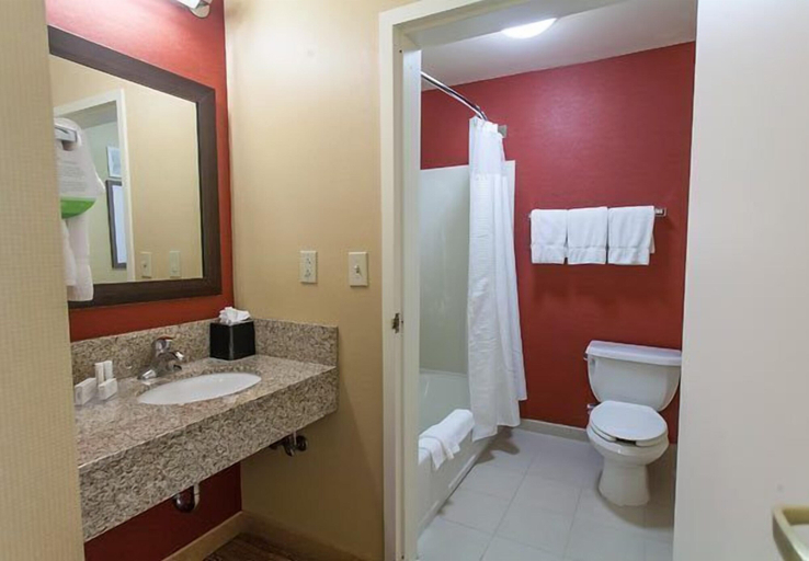 Bathroom 5, Courtyard by Marriott Florence, Florence