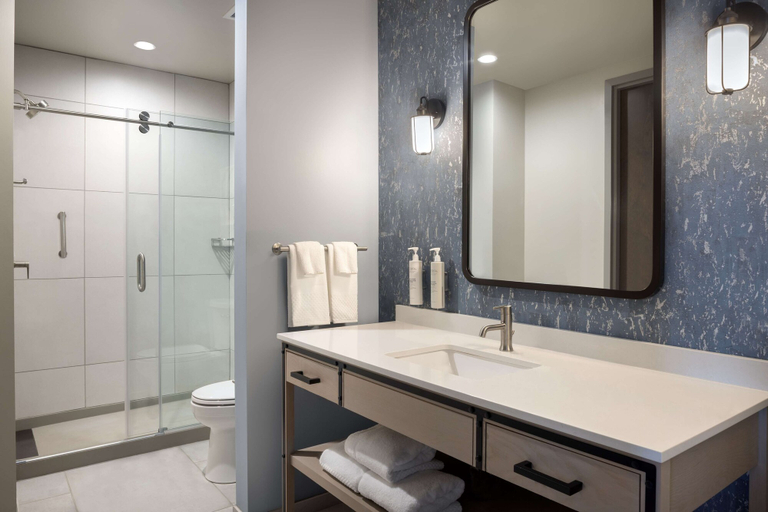 Bathroom 4, Embassy Suites by Hilton Bowling Green, Warren