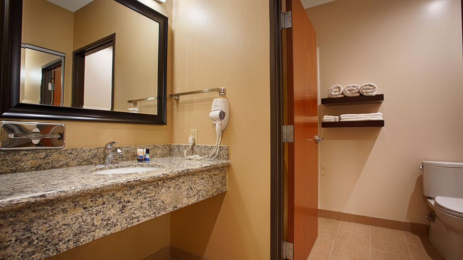Bathroom 4, Best Western Plus Finger Lakes Inn & Suites, Cortland