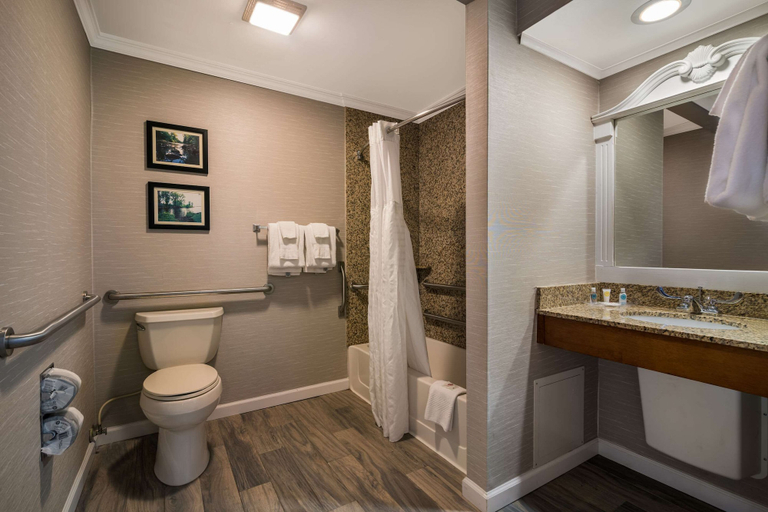 Bathroom 5, Comfort Inn & Suites Plattsburgh - Morrisonville, Clinton