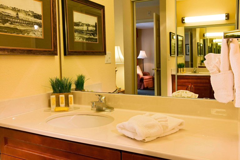 Bathroom 4, Residence Inn by Marriott Minneapolis Eden Prairie, Hennepin