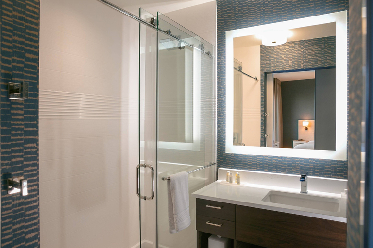 Bathroom 4, TownePlace Suites by Marriott Nashville Downtown/Capitol District, Davidson