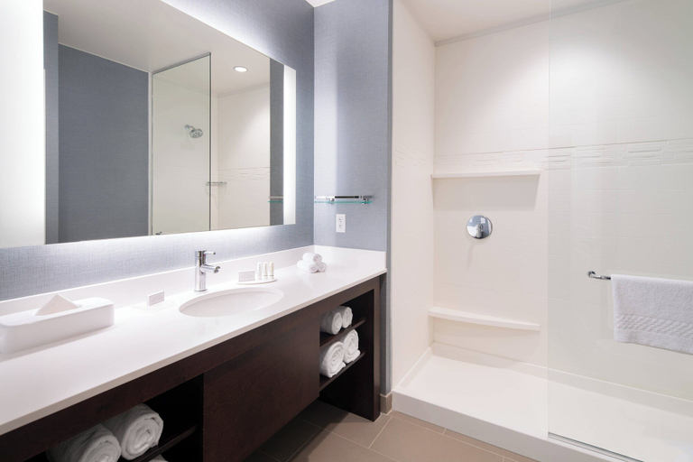 Bathroom 4, Residence Inn Chicago Downtown/Loop, Cook