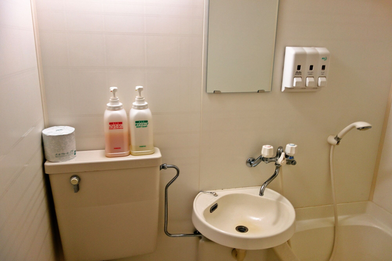 Bathroom 3, Hamasaka Onsen Totoya, Shin'onsen