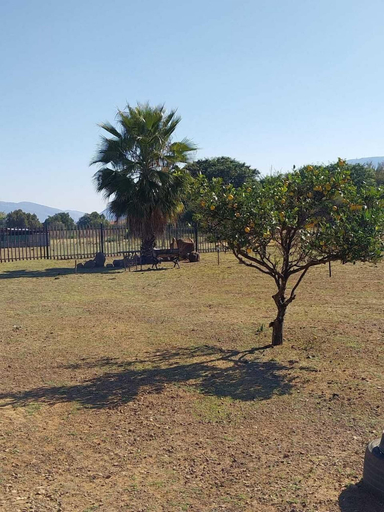Others 5, Sweetafrica lodge, Bojanala