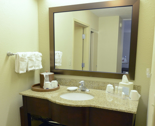 Bathroom 4, Hampton Inn & Suites El Paso-Airport, El Paso
