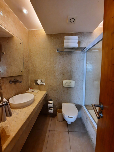Bathroom 4, Artisan Playa Esmeralda Family Beach Hotel, Úrsulo Galván