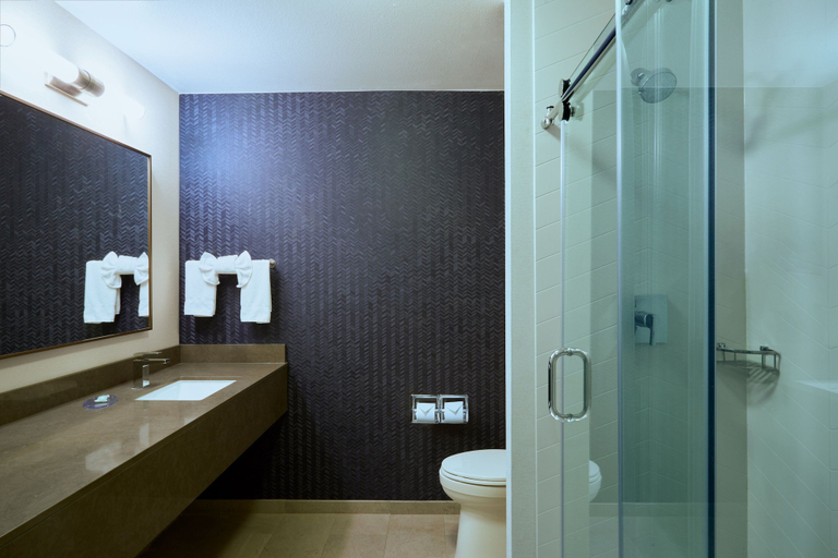 Bathroom 4, Fairfield Inn and Suites by Marriott San Bernardino, San Bernardino