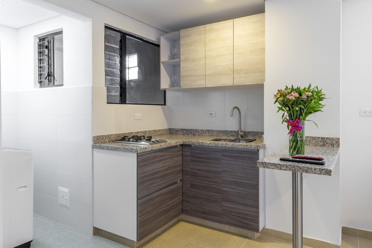 Others 5, APARTASUITE PLAZA PREMIUM, Santafé de Bogotá