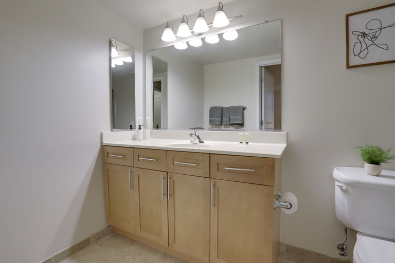 Bathroom 5, Great Business Condo at Pentagon City, Arlington
