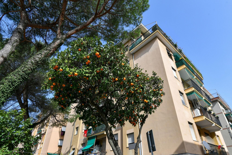 Others 2, Una Finestra su Villa Durazzo by Wonderful Italy, Genova