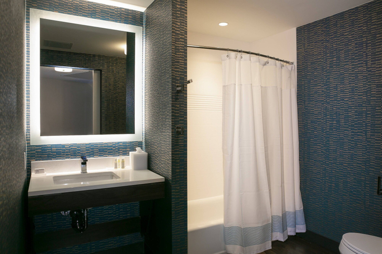 Bathroom 4, TownePlace Suites by Marriott Nashville Downtown/Capitol District, Davidson