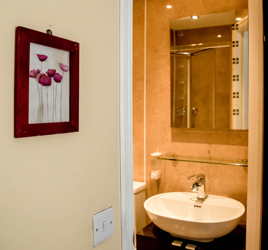 Bathroom 5, Dolphin Hotel, London