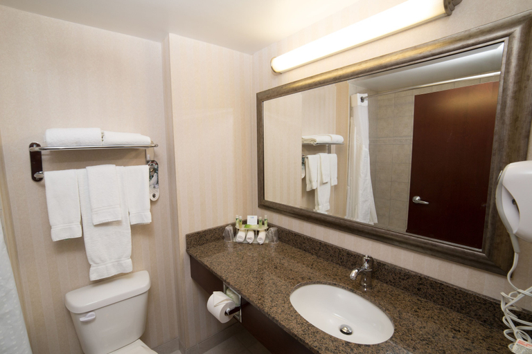 Bathroom 4, Holiday Inn Express & Suites WHITECOURT SOUTHEAST by IHG, Division No. 13