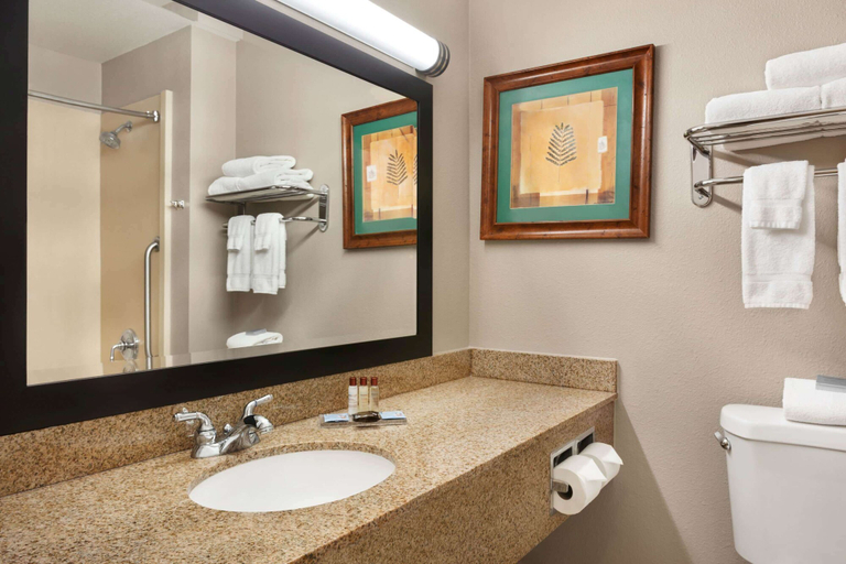 Bathroom 5, Wingate by Wyndham Bentonville AR, Benton