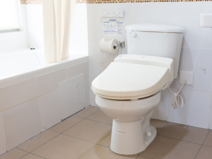 Bathroom 3, Garden Palace Downtown