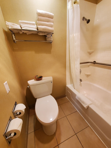 Bathroom 5, Royal Pacific Motor Inn, San Francisco