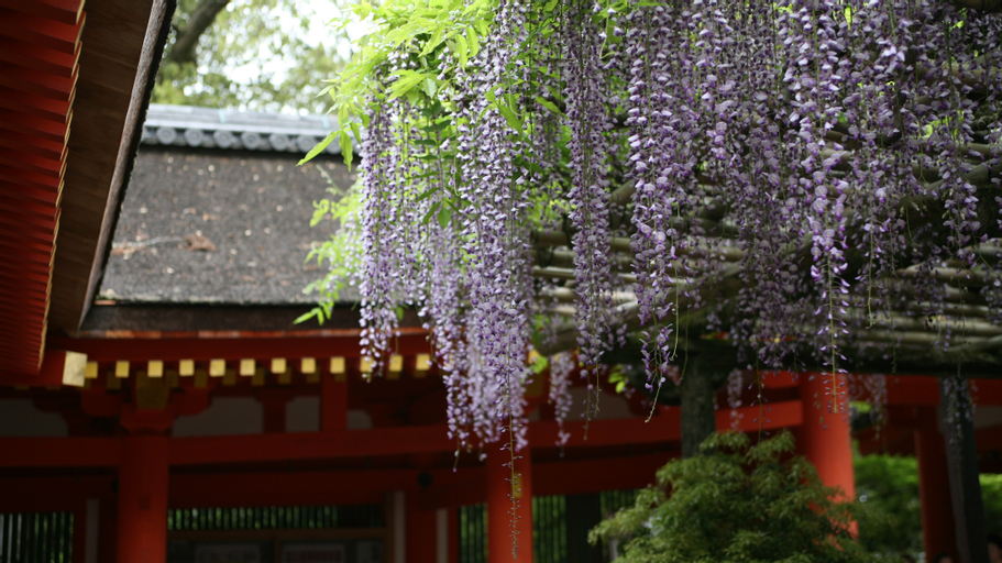 Hotel Asyl Nara, Nara