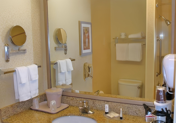 Bathroom 5, Fairfield Inn & Suites by Marriott Augusta Washington Rd./I-20, Richmond