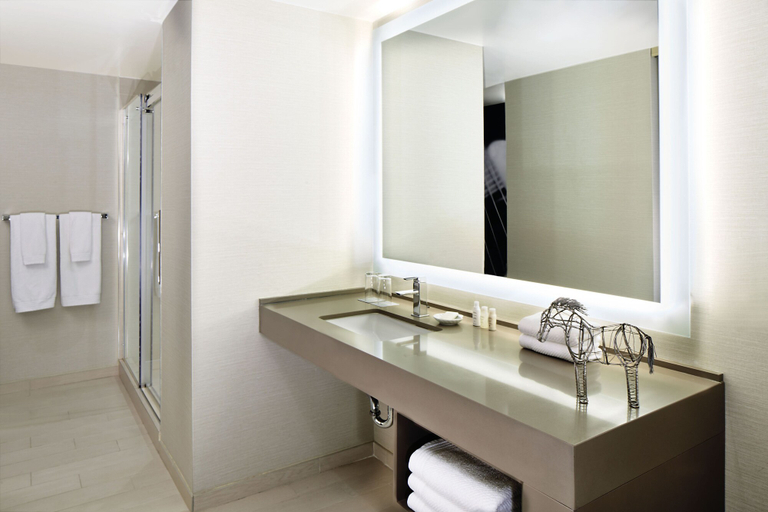 Bathroom 5, Renaissance Austin Arboretum Domain Hotel, Travis