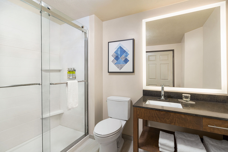 Bathroom 4, Candlewood Suites BOISE-MERIDIAN, Ada
