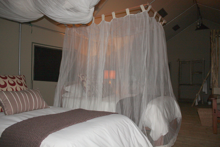 Bedroom 3, Miombo Safari Camp, Hwange