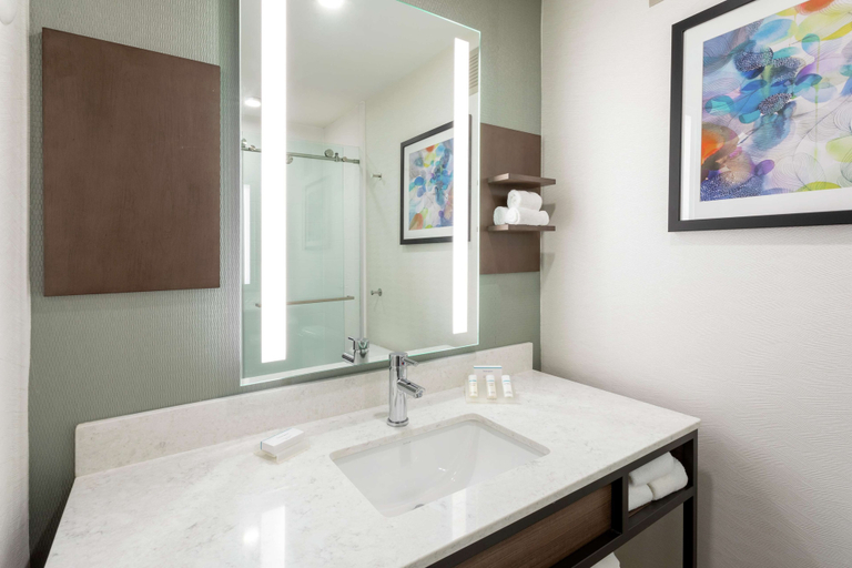 Bathroom 4, Hilton Garden Inn Minneapolis St. Paul-Shoreview, Ramsey