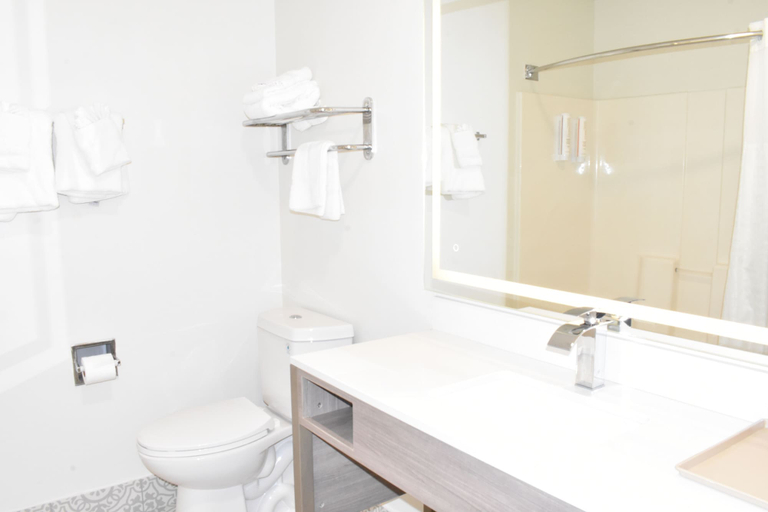 Bathroom 5, Clarion Pointe Vidalia - Lyons West, Toombs