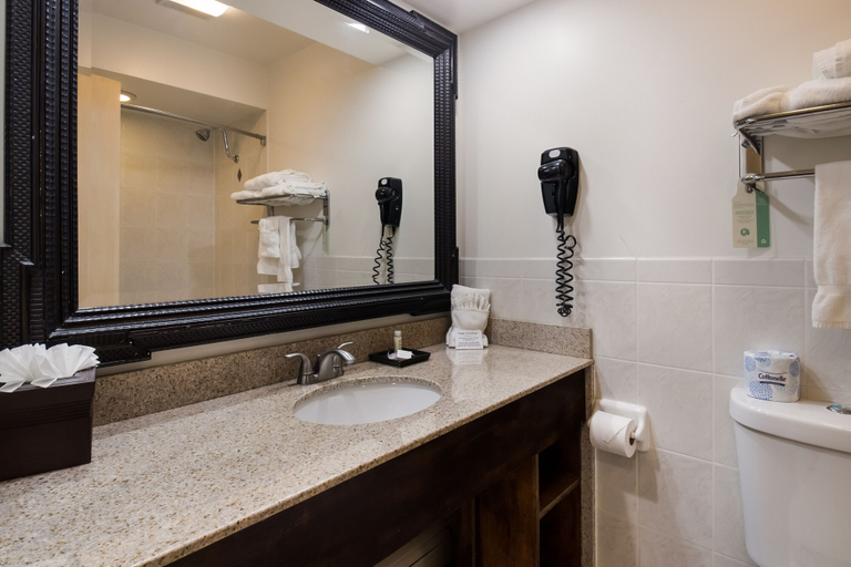 Bathroom 3, The Inn at Tomichi Village, Gunnison