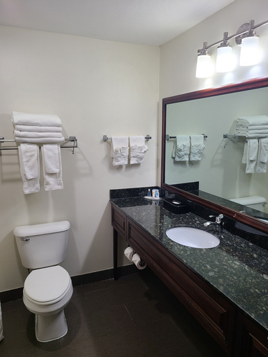 Bathroom 4, Comfort Suites Madison West - Middleton, Dane