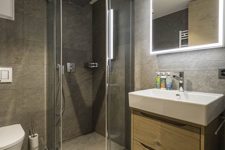 Bathroom 3, Apartment in Chalet Pizzo Fiamma, Visp