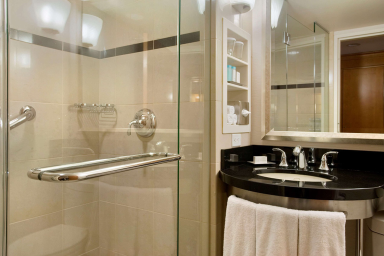 Bathroom 5, New York Hilton Midtown, New York