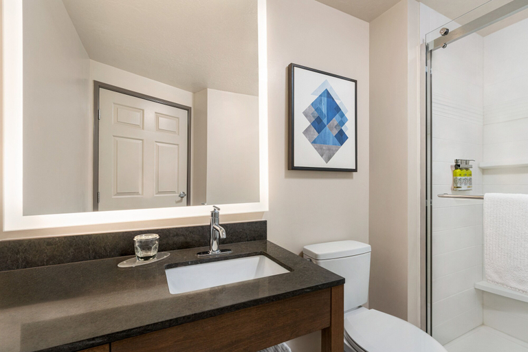 Bathroom 4, Candlewood Suites BOISE-MERIDIAN, Ada