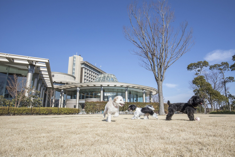 Exterior & Views 2, Hilton Odawara Resort & Spa, Odawara