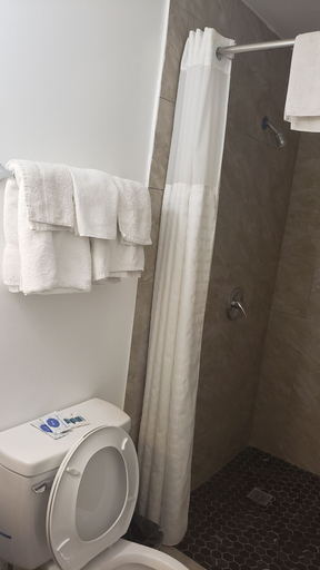 Bathroom 5, Alamo Motel, Taylor