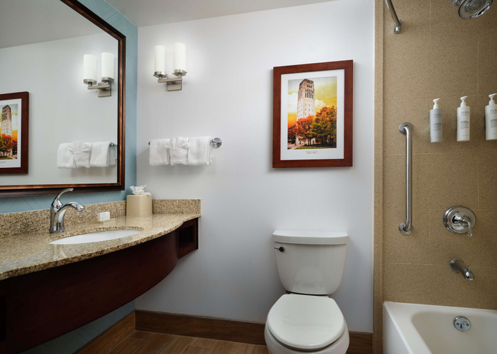 Bathroom 4, Hilton Garden Inn Ann Arbor, Washtenaw