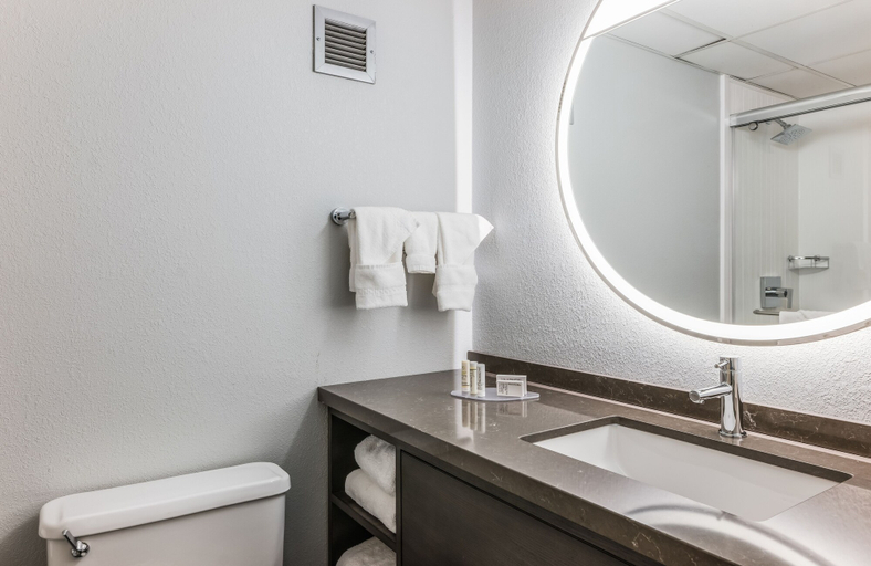Bathroom 3, Courtyard by Marriott Rockaway Mount Arlington, Morris