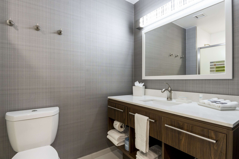 Bathroom 4, Home2 Suites by Hilton Fort Worth Northlake, Denton