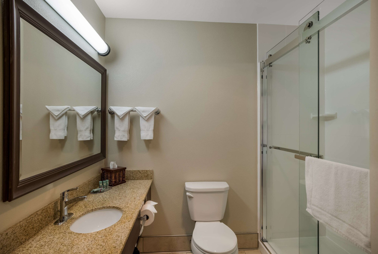 Bathroom 4, BEST WESTERN Vermillion Inn, Clay
